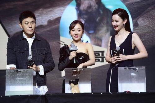 娱乐圈吃瓜爆料天选之人,揭秘天选之人的璀璨人生  第2张