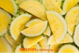 吃瓜百科在线,揭秘娱乐圈幕后真相与趣味故事  第3张