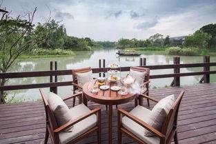 吃瓜娱乐杭州椰子宾馆,揭秘网红酒店背后的吃瓜娱乐故事  第2张