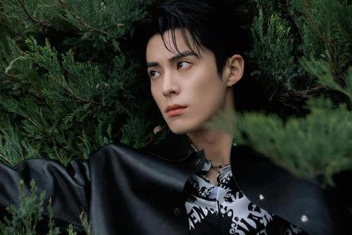 吃瓜娱乐间王鹤棣,吃瓜娱乐间，揭秘明星背后的故事  第3张